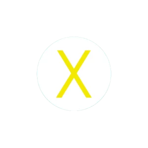 Bogg Bit - Initial "X"