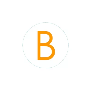 Bogg Bit - Initial "B"